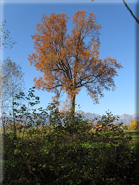 foto Paesaggi Autunnali tra le colline Fontesi